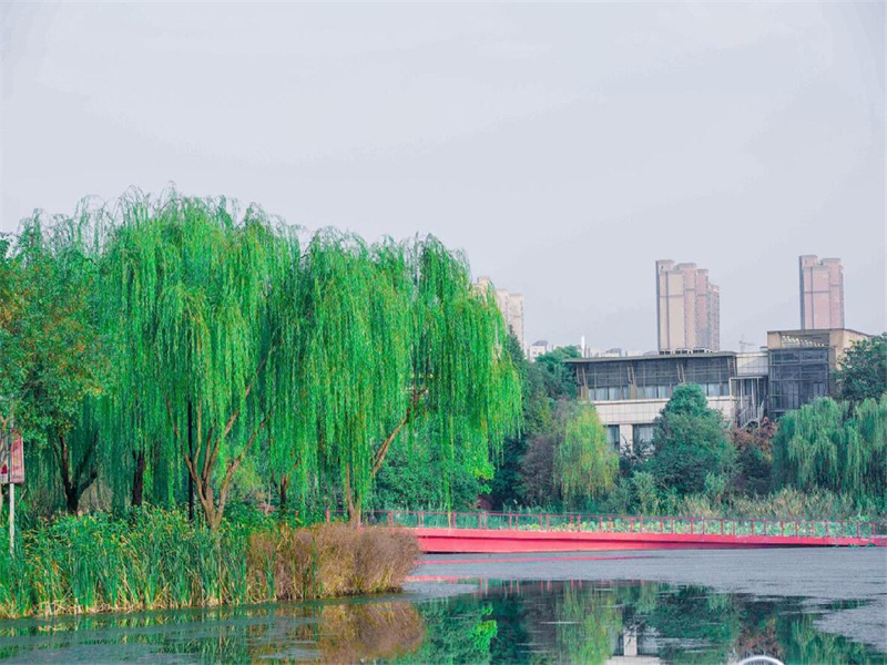 常州青楓公園
