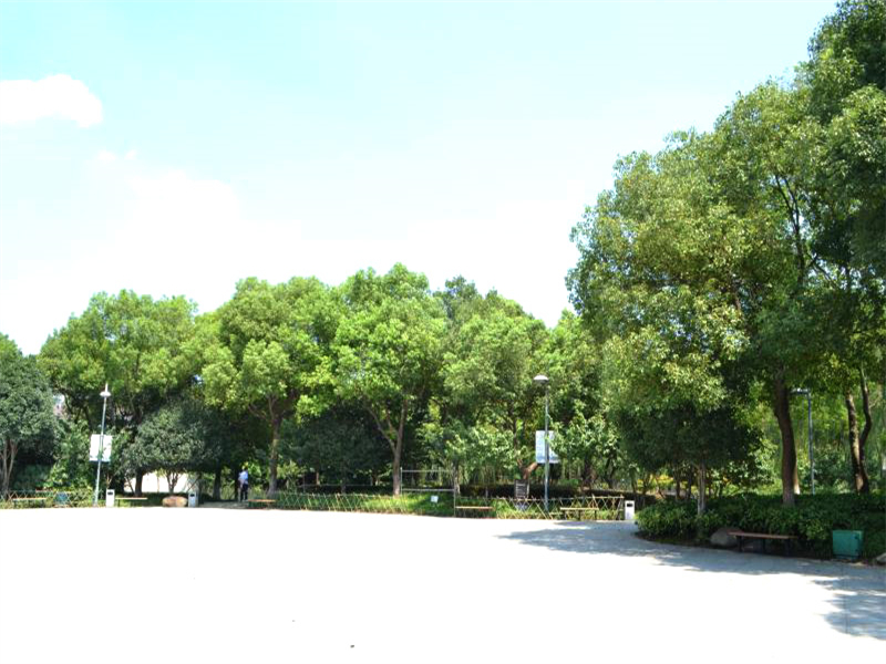 五星公園